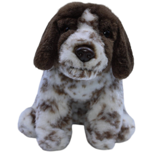 Hund, Deutsch Kurzhaar