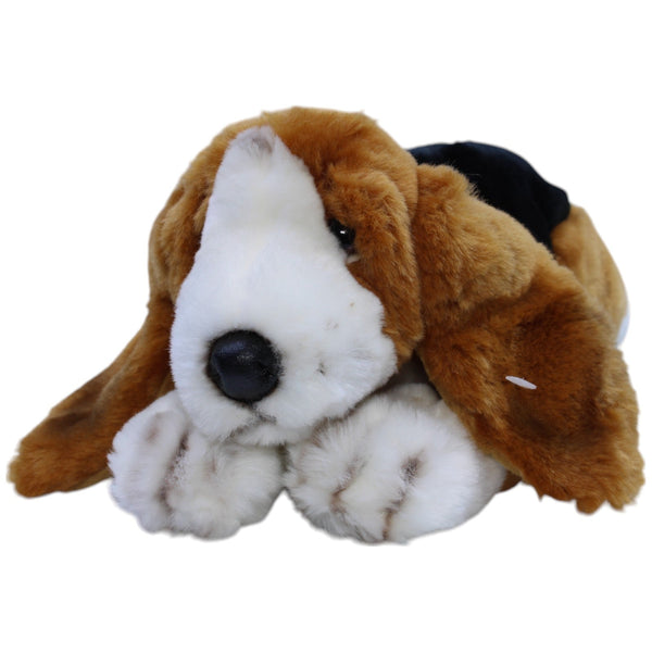 Basset Hound, liegend