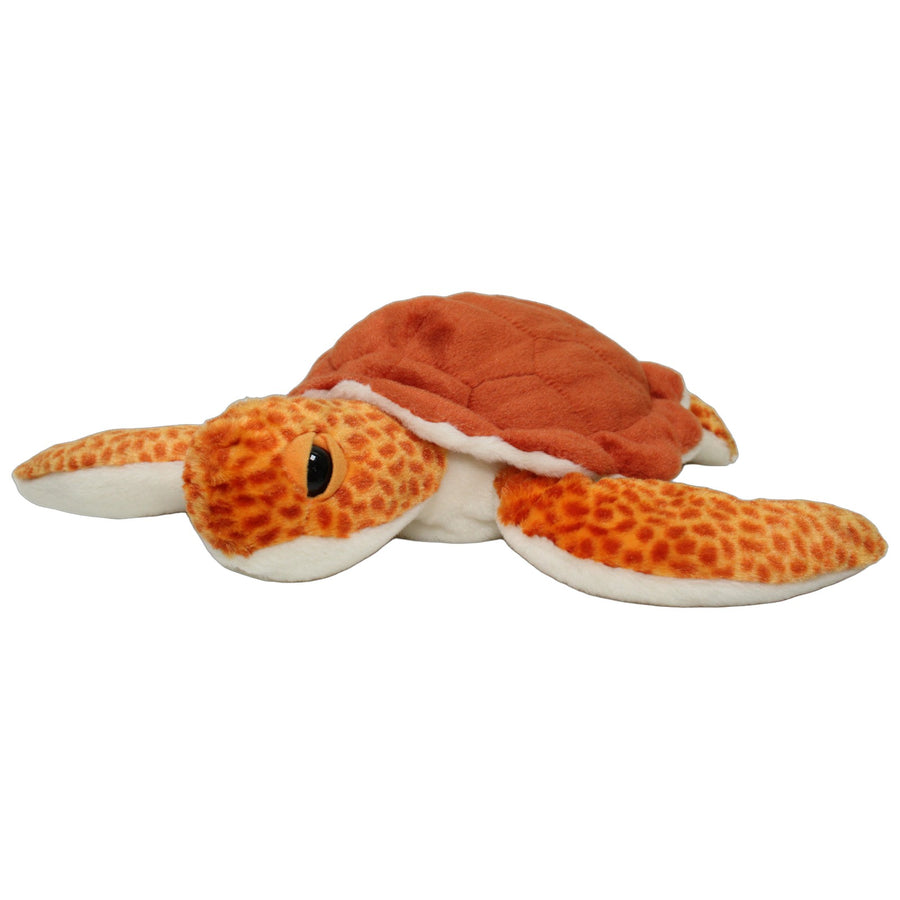 Unechte Karettschildkröte, groß
