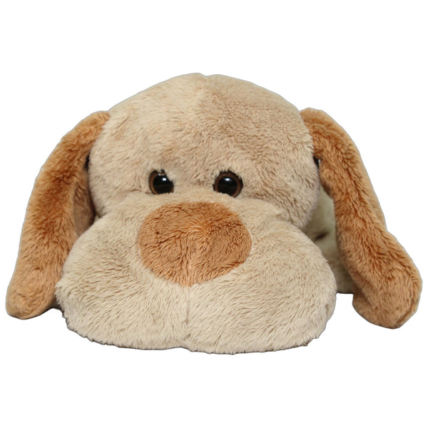 Süßer hellbrauner Hund