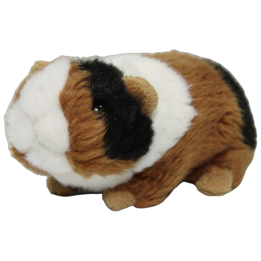 Kleines Meerschweinchen, dreifarbig