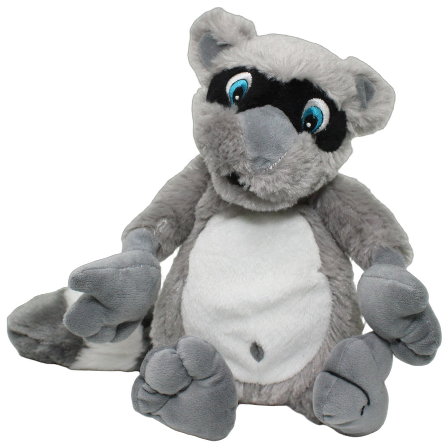 Schlenker Waschbär mit blauen Augen