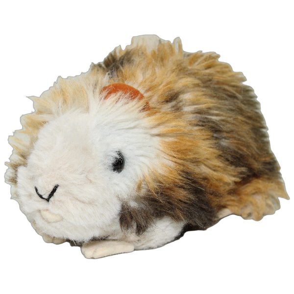 Zotteliges Meerschweinchen mit Quietsch
