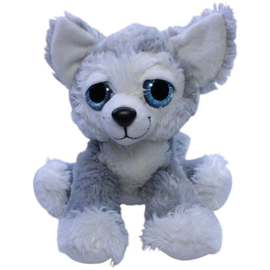 Süßer Husky mit großen Augen