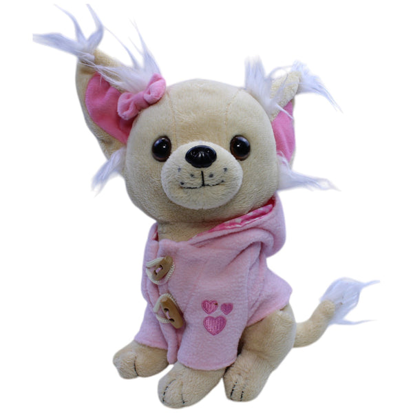 Chihuahua mit Jacke