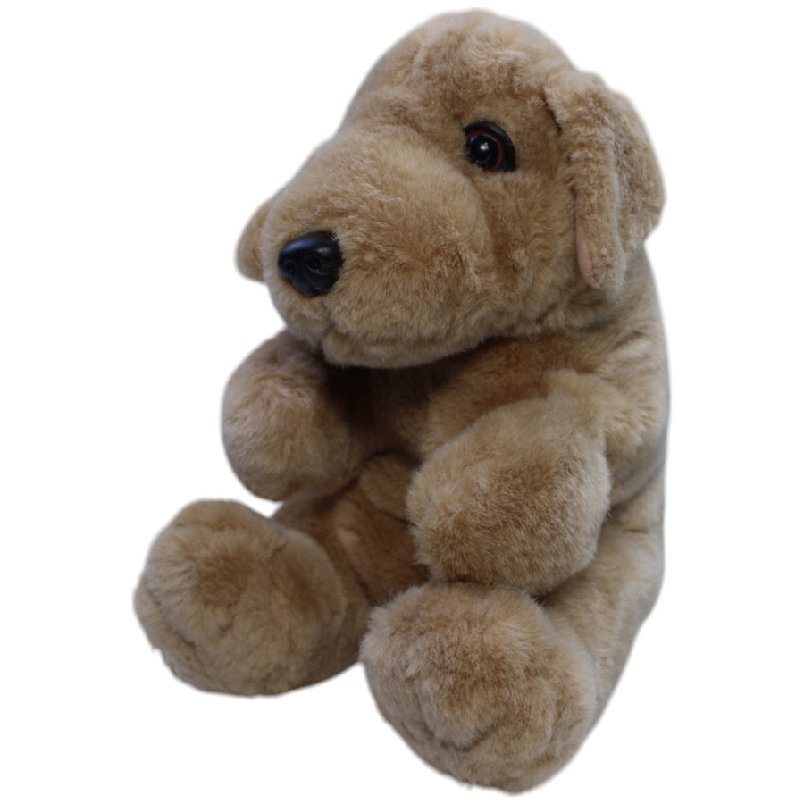 Süßer Golden Retriever Hund