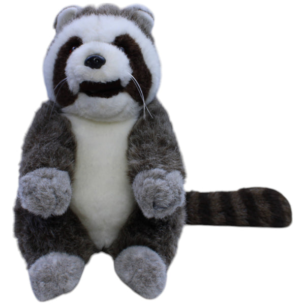Süßer Waschbär