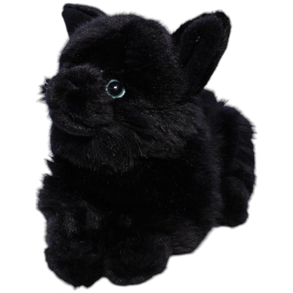 Schwarze Katze, liegend