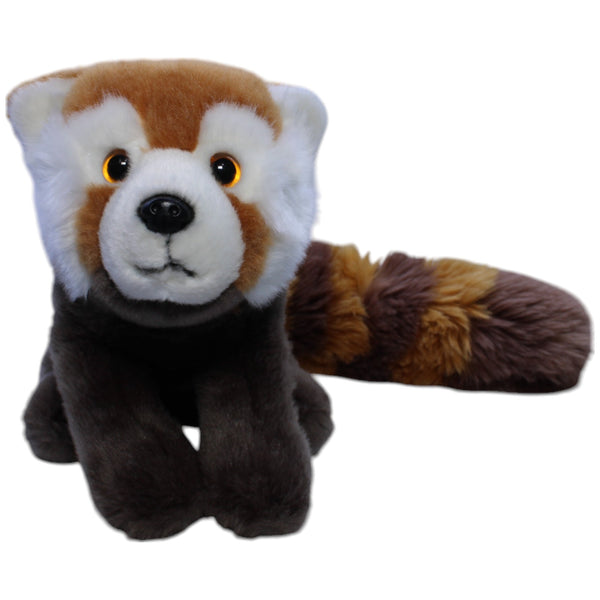 Hübscher Roter Panda