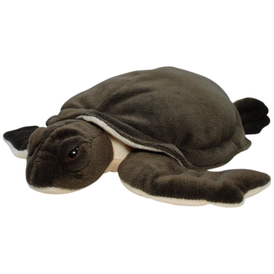 Große Schildkröte, dunkelgrün