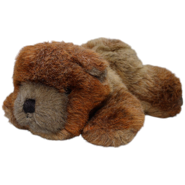 Süßer Braunbär, liegend