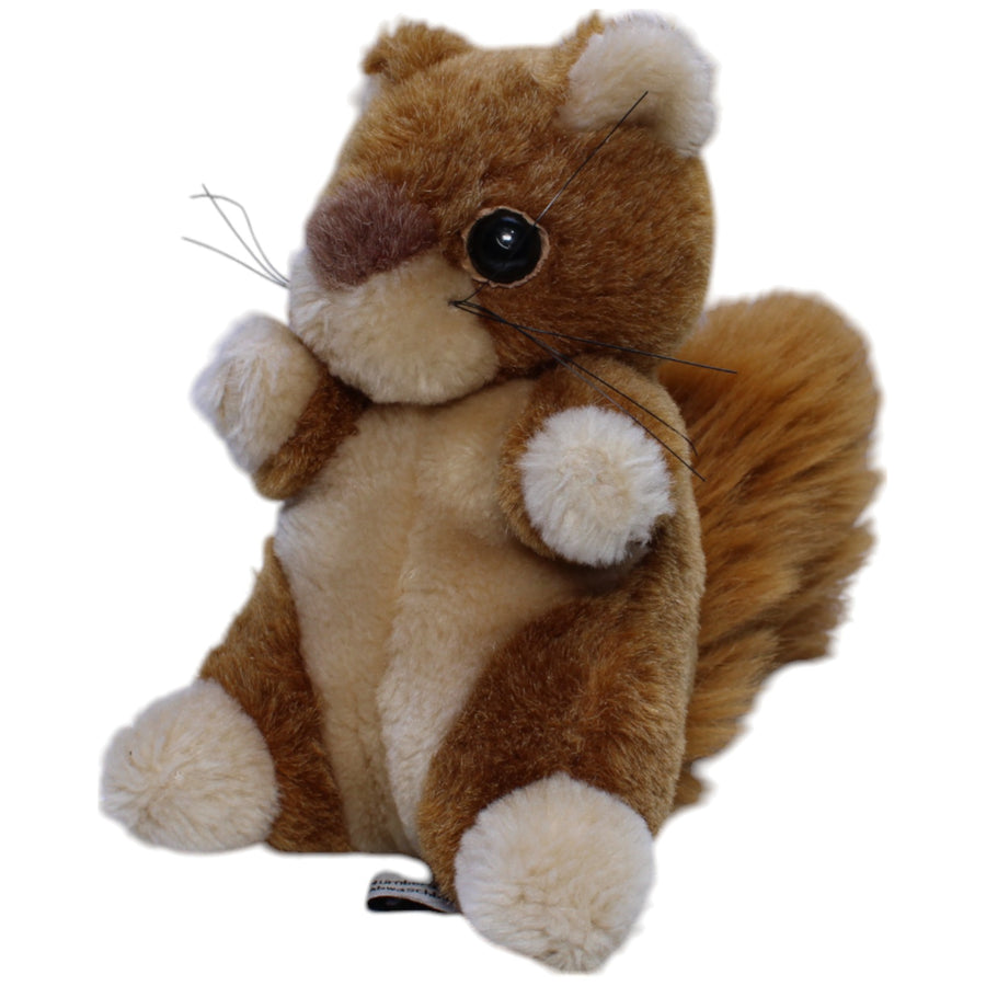 Süßes Eichhörnchen