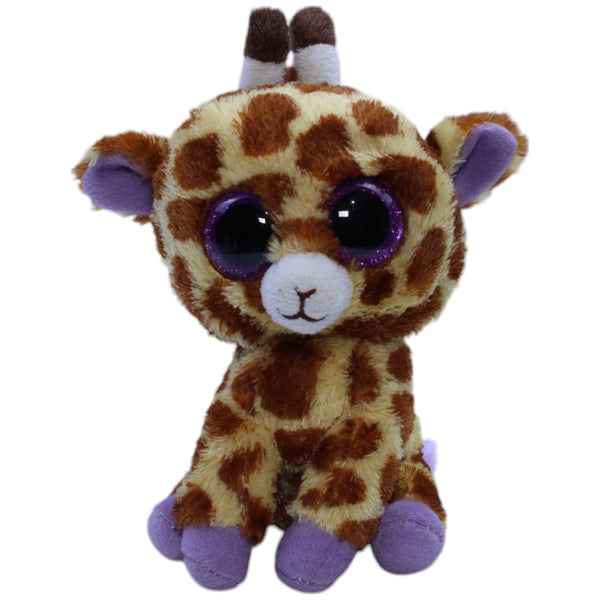 Giraffe, Safari klein