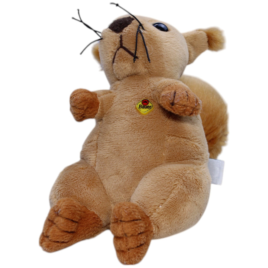 Süßes Eichhörnchen
