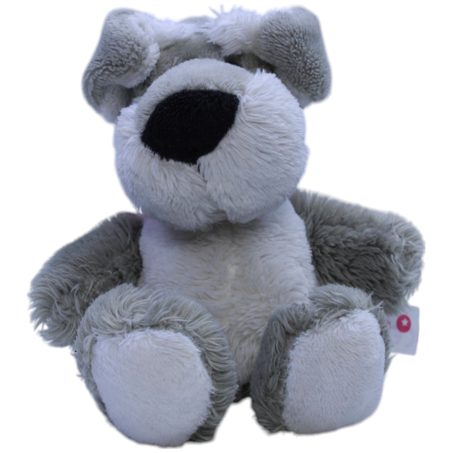 Schnauzer, klein