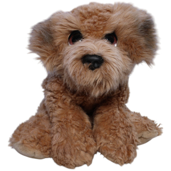 Signature Cuddle Puppies, Terrier Welpe