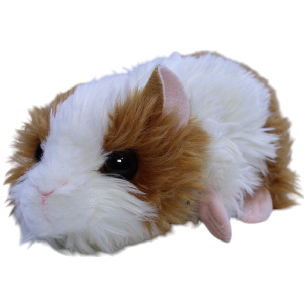 Meerschweinchen, gold/weiß