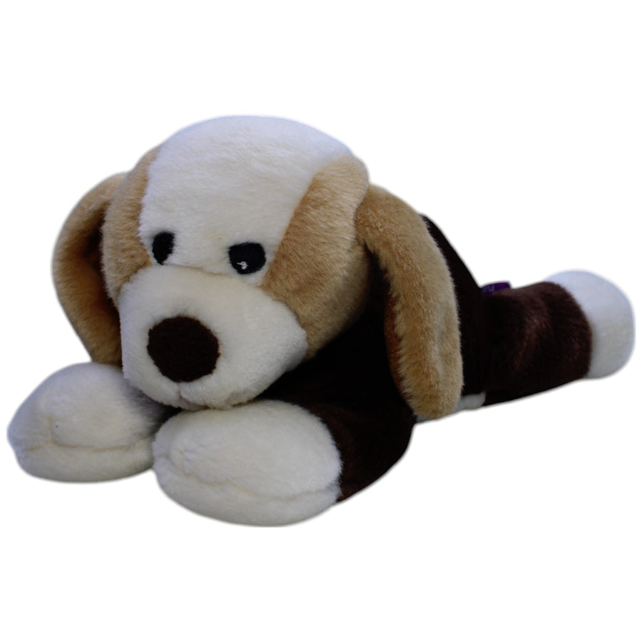 Süßer Beagle, liegend