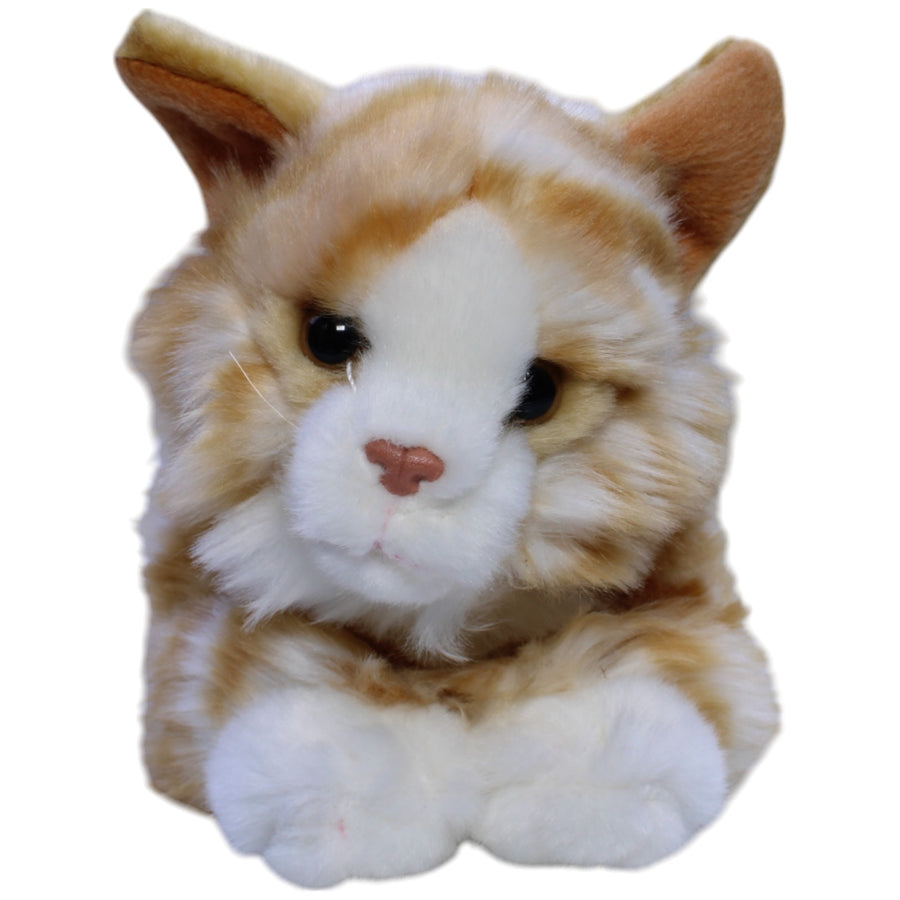 Süße Katze Tiggi, getigert