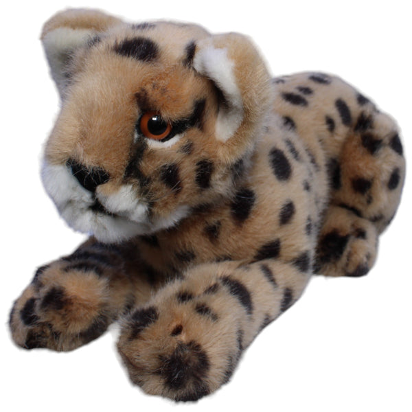 Gepard, liegend