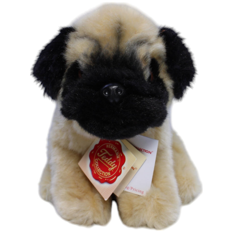 Mops Welpe