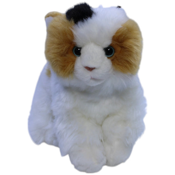 Süße Hauskatze, dreifarbig