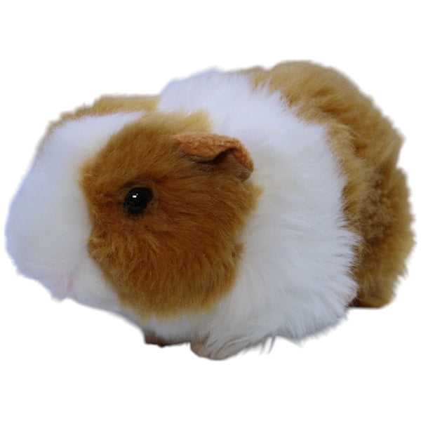 Meerschweinchen, gold/weiß