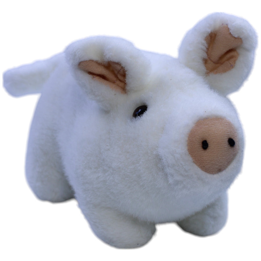 Süßes weißes Schwein