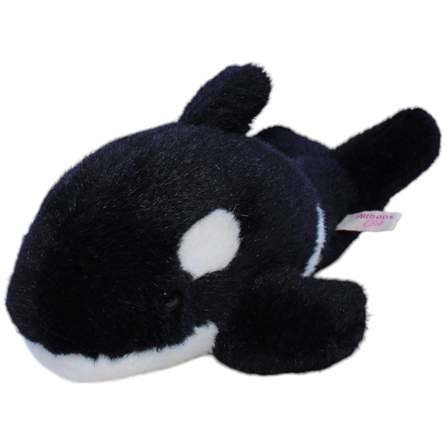Hübscher großer Orca