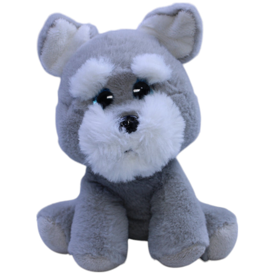 Süßer grauer Schnauzer mit blauen Glitzer-Augen