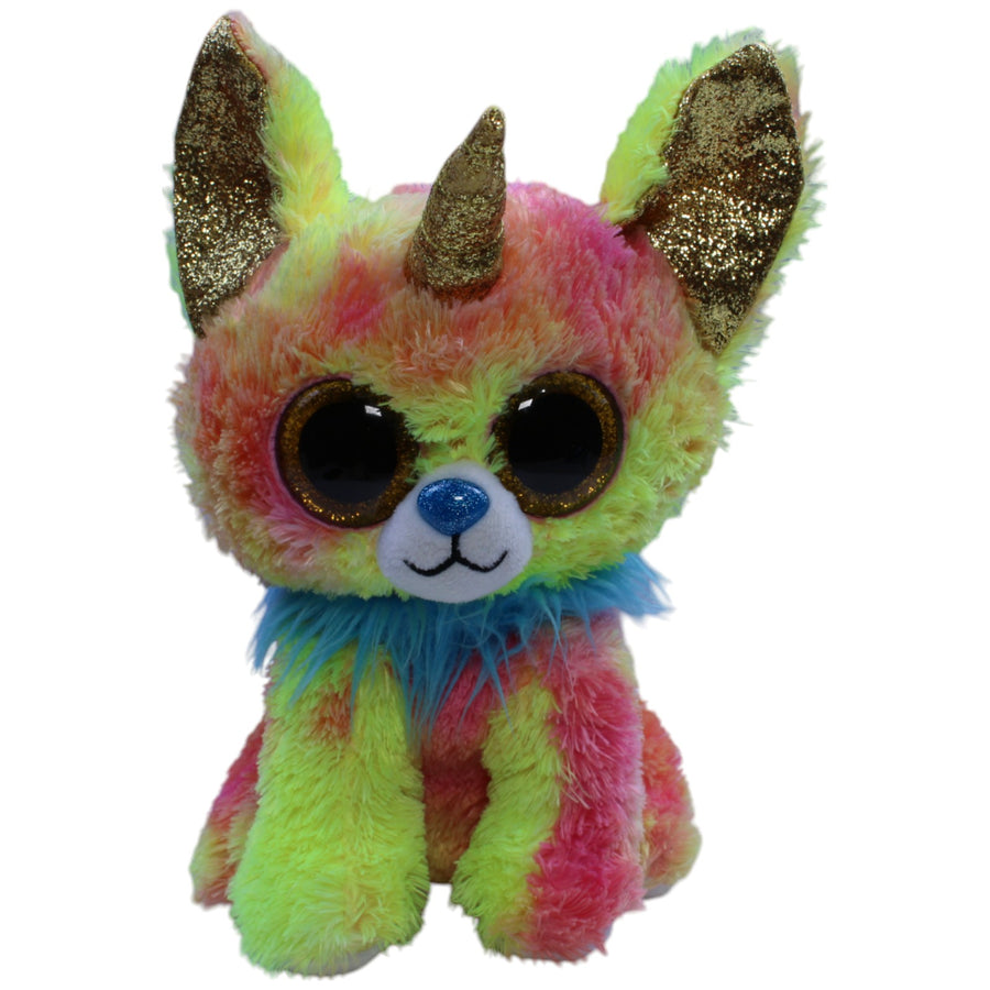 Chihuahua Hund Yips, groß