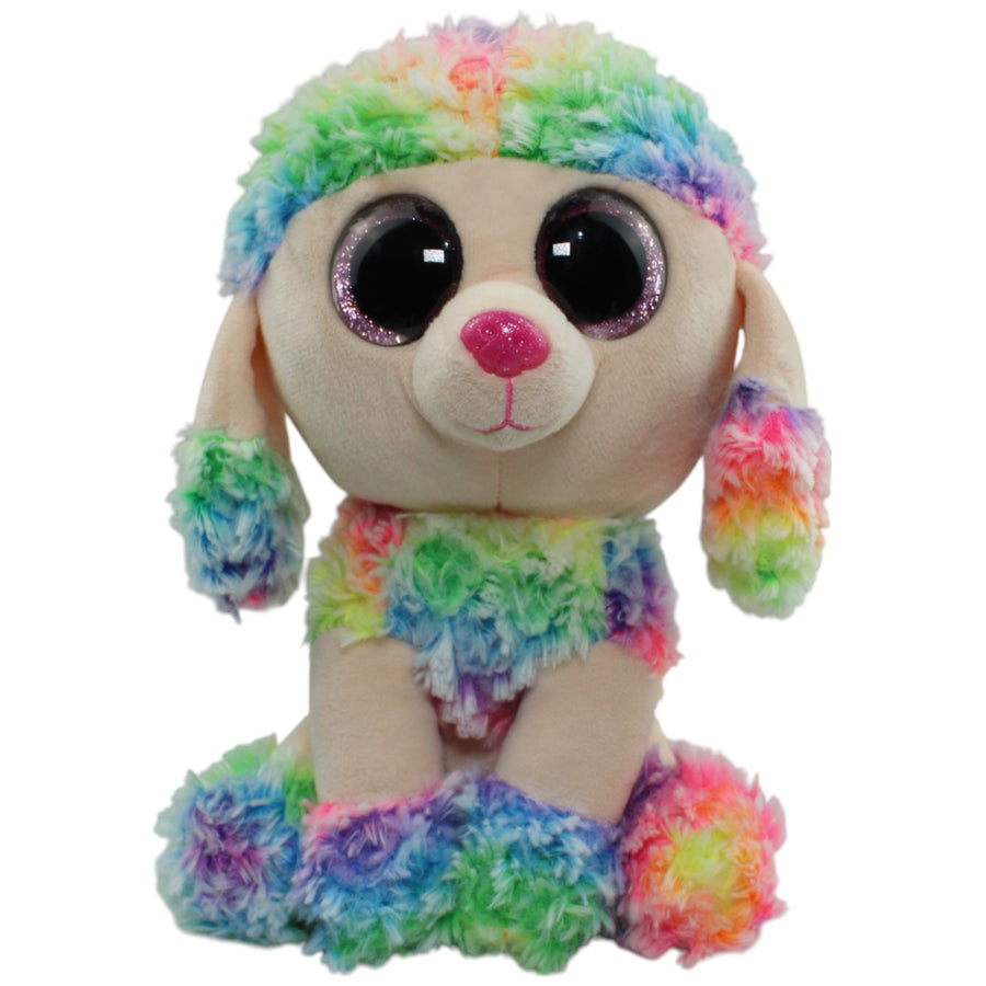 Pudel Rainbow