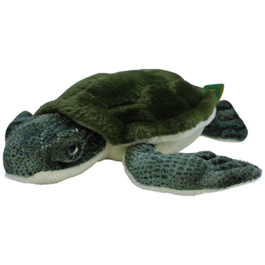 Grüne Schildkröte