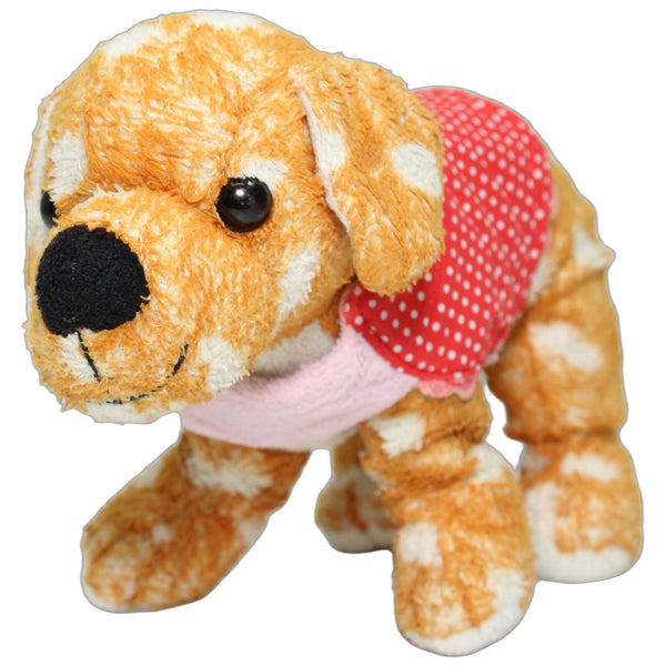 Gepunkteter Hund mit rotem Geschirr