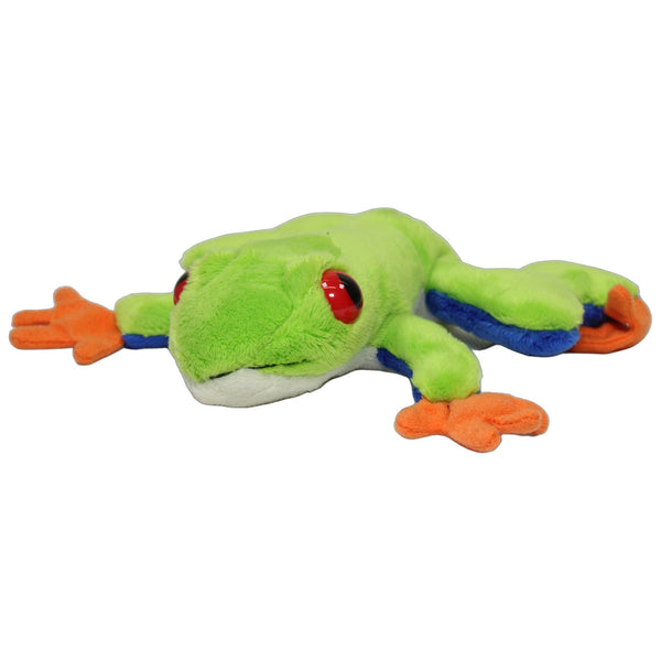 Rotaugenlaubfrosch