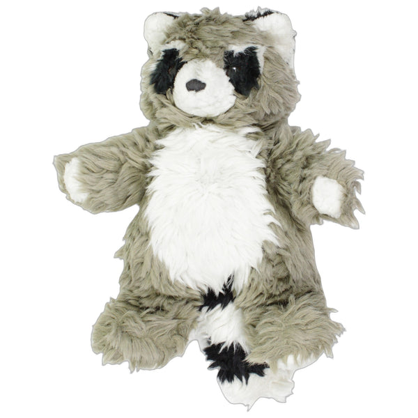 Niedlicher Waschbär