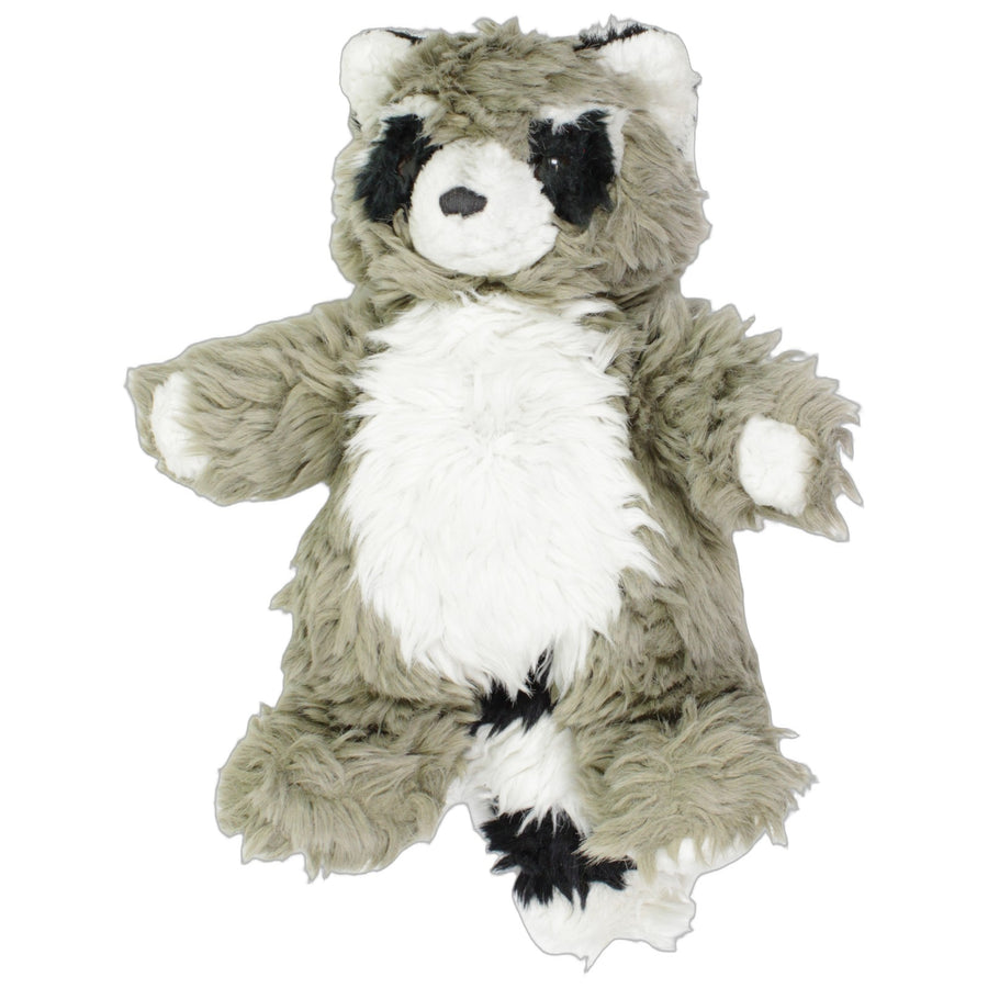 Niedlicher Waschbär