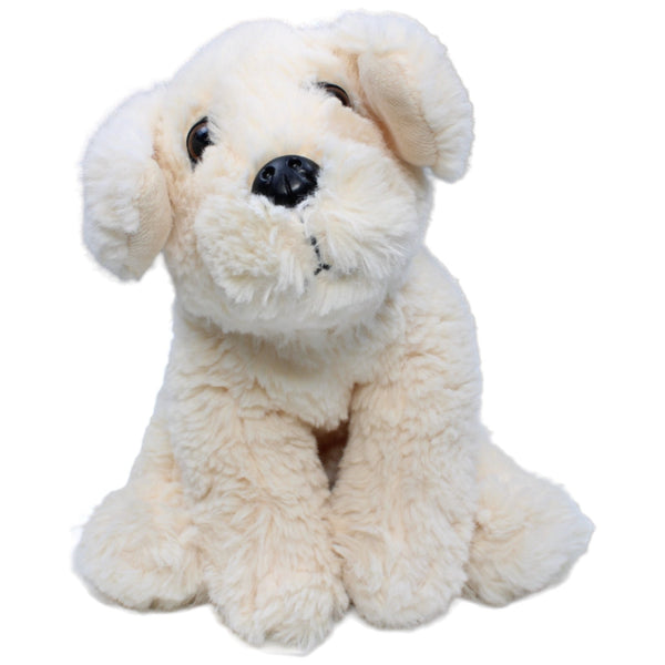 Golden Retriever Welpen