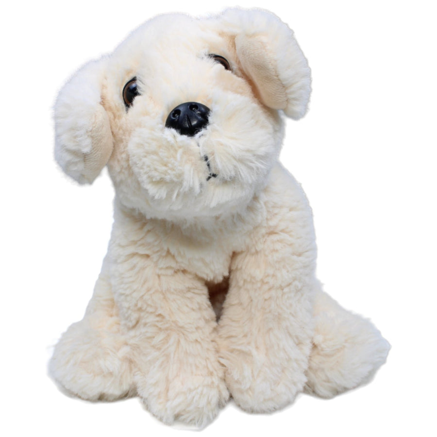 Golden Retriever Welpen