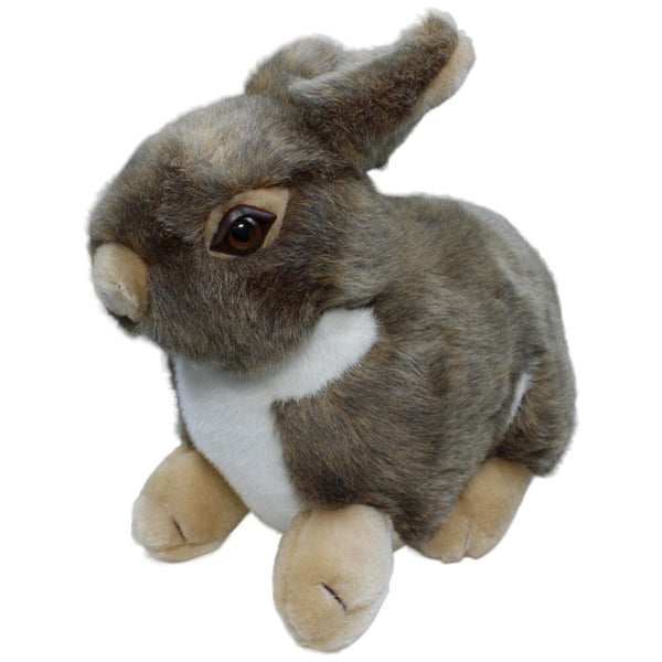 XL Hase