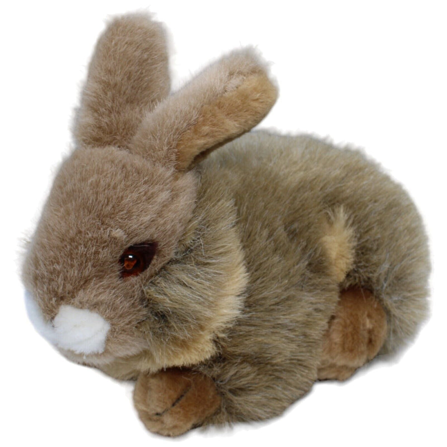 Hase, braun