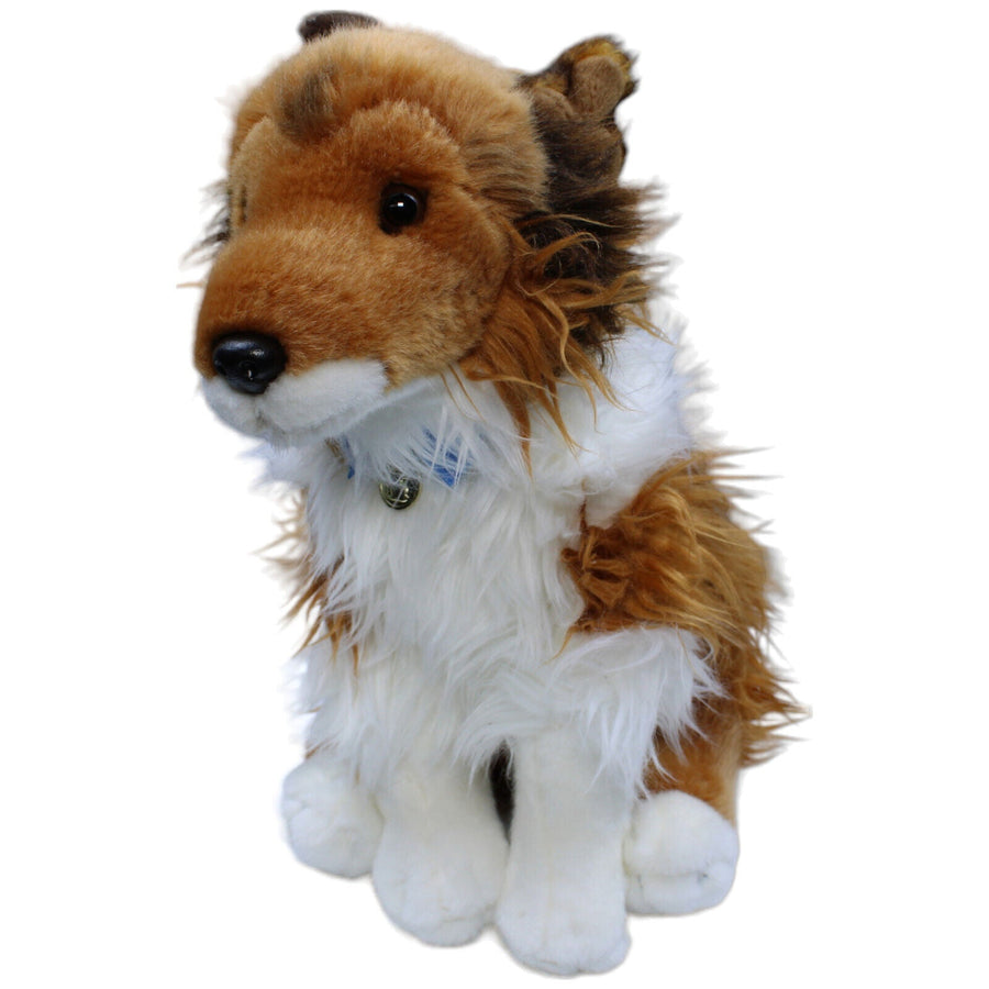 Hund, Langhaarcollie
