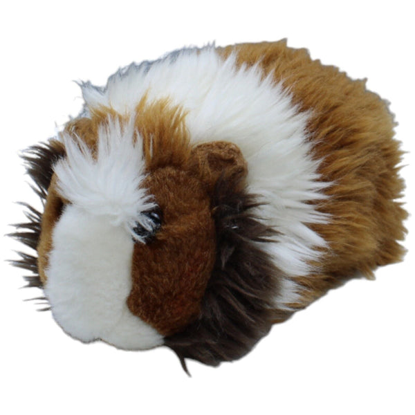 Meerschweinchen, braun-weiß