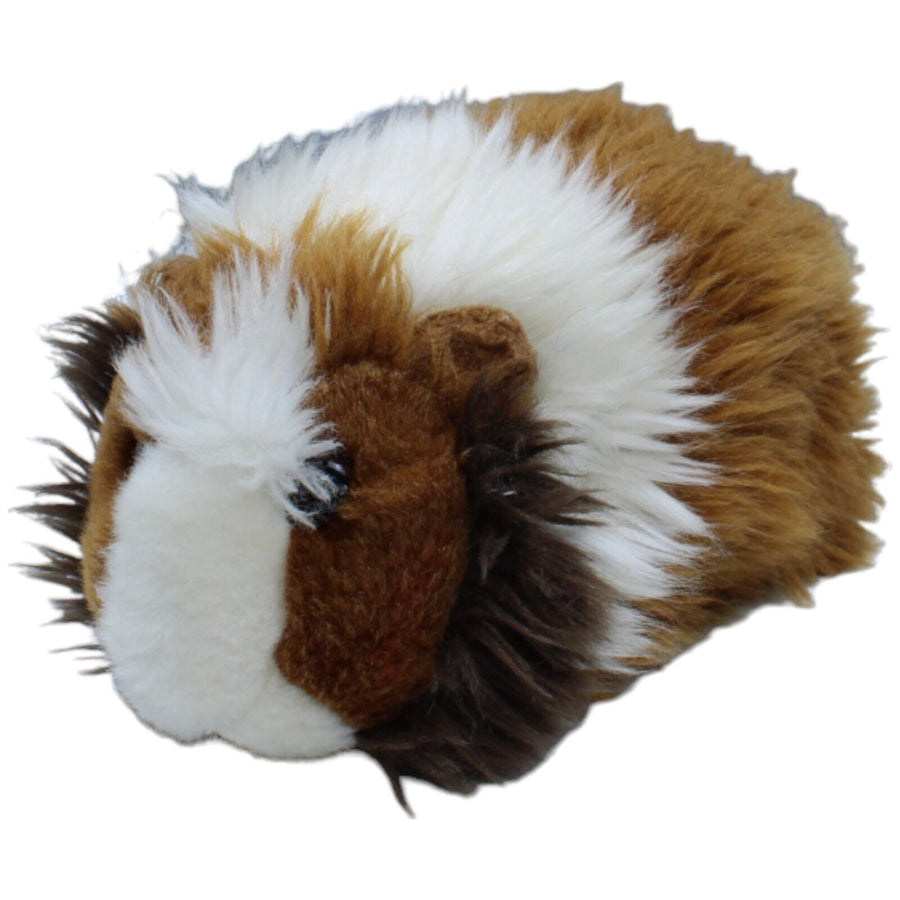 Meerschweinchen, braun-weiß