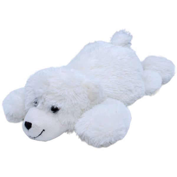 Eisbär, liegend