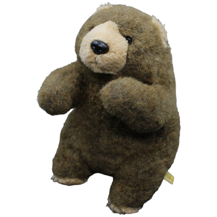 Braunbär