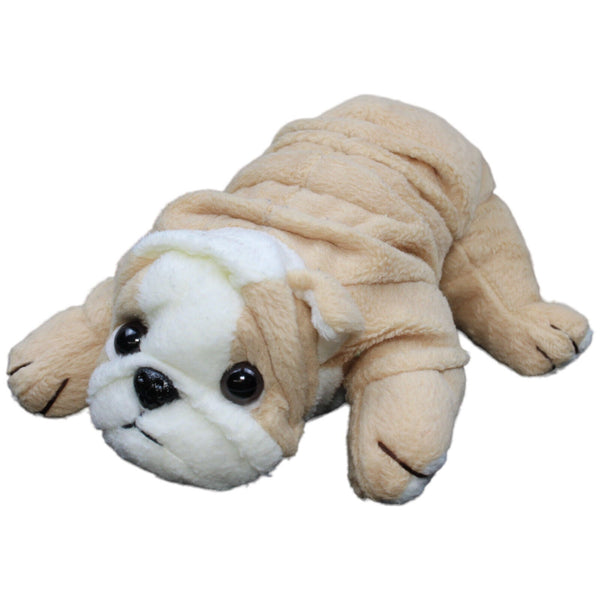 Hund, Bulldogge liegend