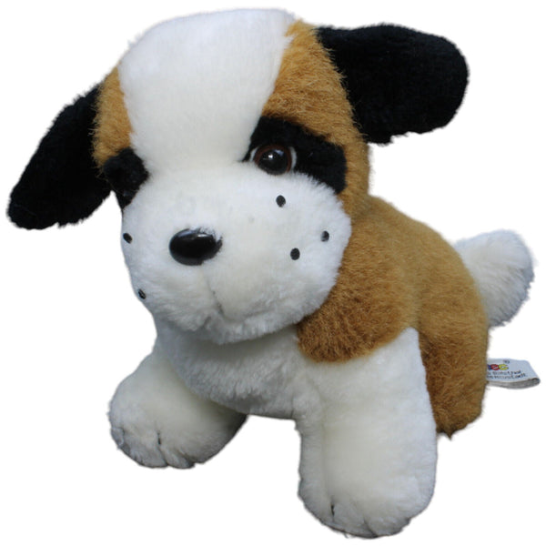 Hund, Bernhardiner Welpe