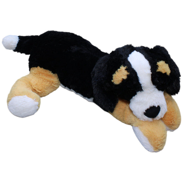 XL Berner Sennenhund, liegend