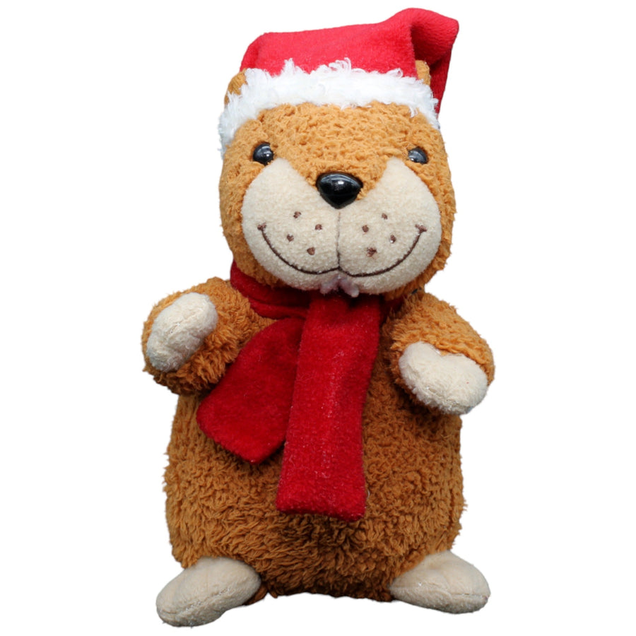 Kinder, Weihnachts Hamster